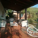 Jungle Apartmán *