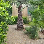 Apartmán Jungle