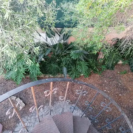 Jungle