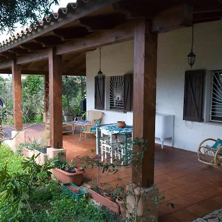 Jungle Apartmán Terra Mala