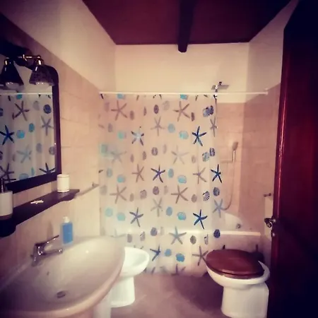 Appartement Jungle