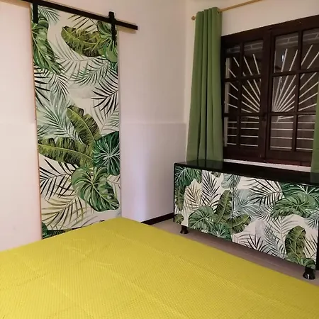 Apartment Jungle