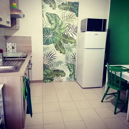 Jungle *
