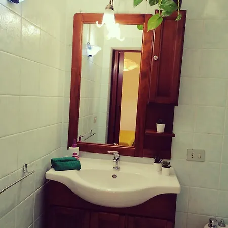 Jungle Apartment *