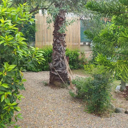 Διαμέρισμα Jungle