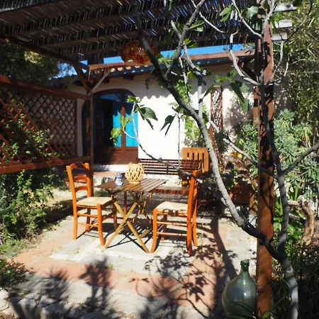Jungle Apartment