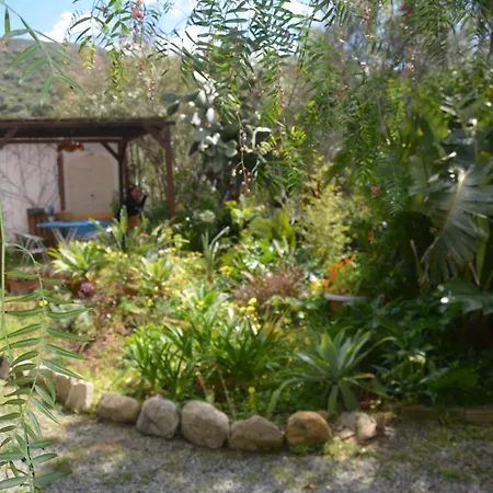 Διαμέρισμα Jungle *