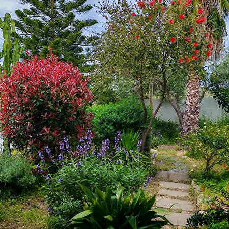 Διαμέρισμα Jungle Terra Mala