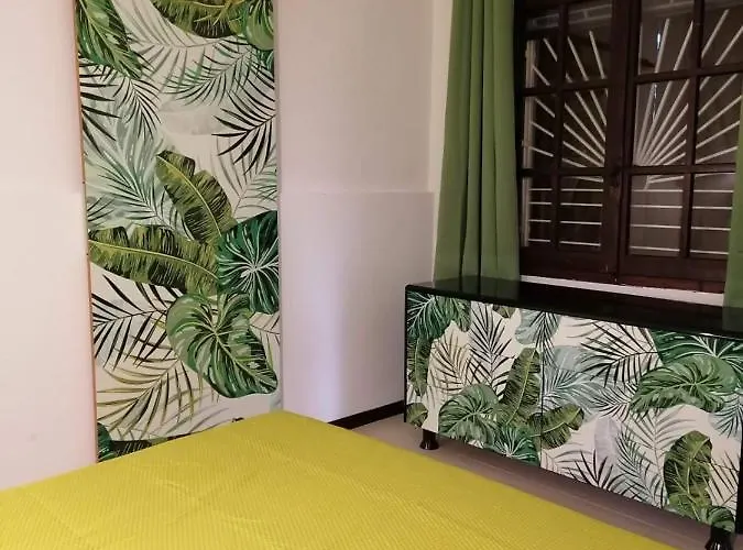 Apartament Jungle