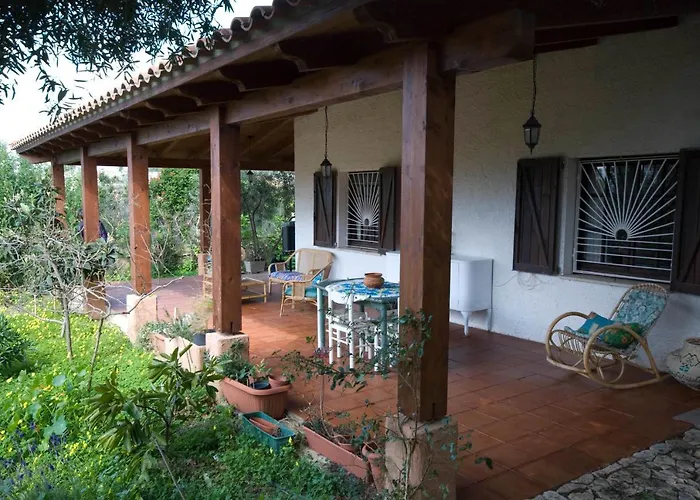 Jungle Apartament Terra Mala