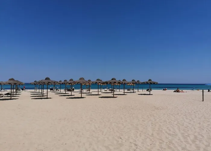 Apartament Jungle Terra Mala