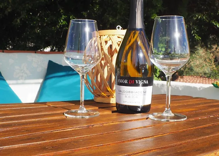 Apartament Jungle Terra Mala