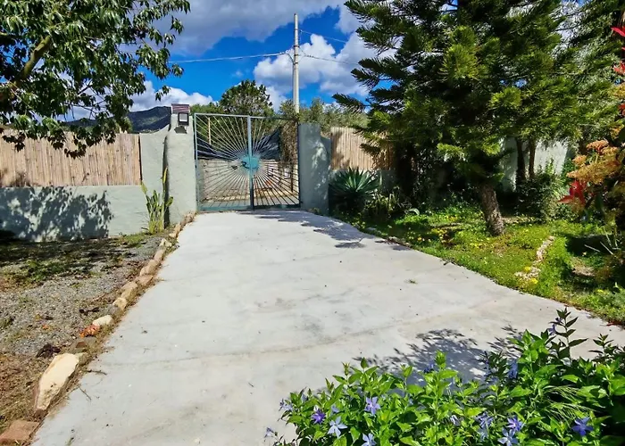 Apartament Jungle Terra Mala