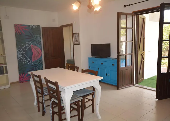 Apartament Jungle Terra Mala