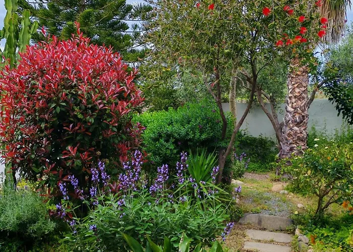 Apartament Jungle Terra Mala